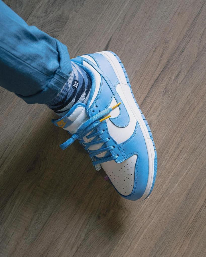 Nike Dunk Low Coast