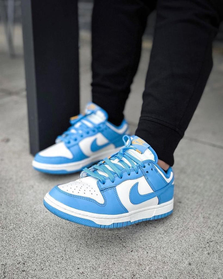 Nike Dunk Low Coast