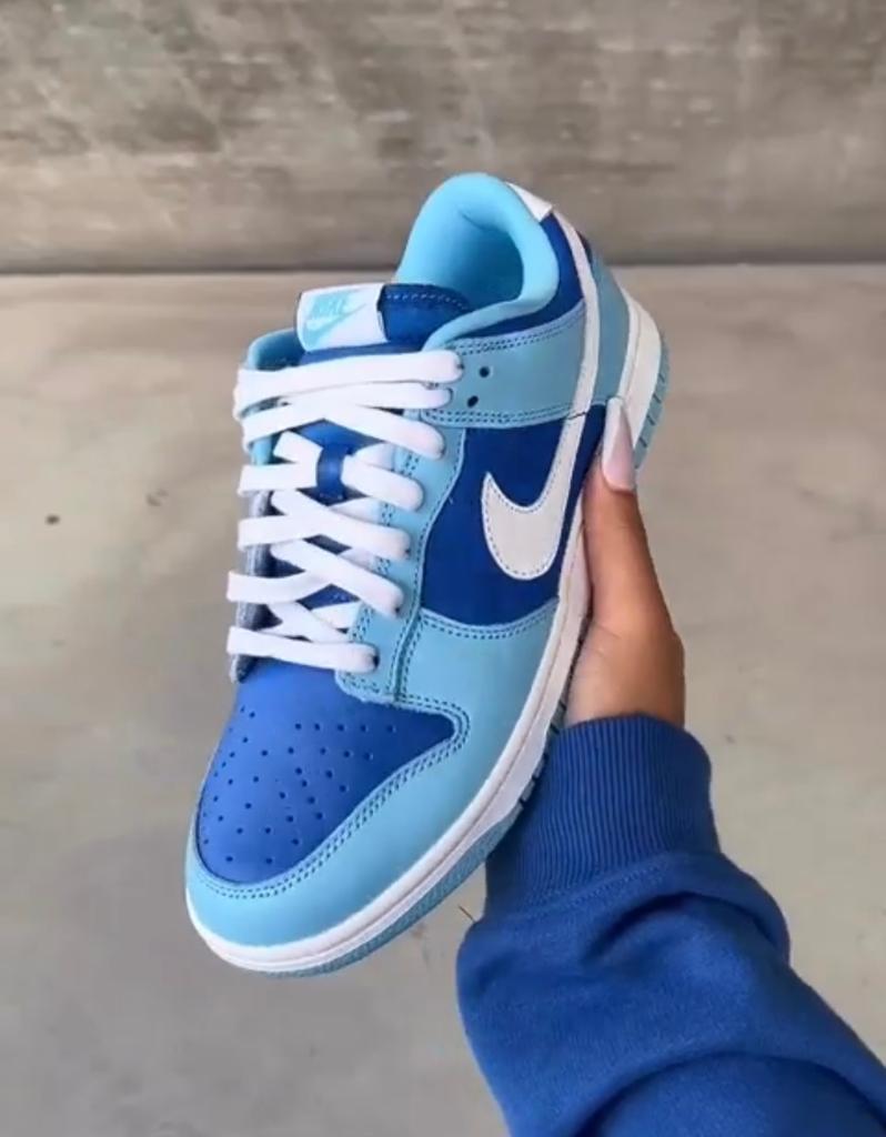 nike dunk low argon