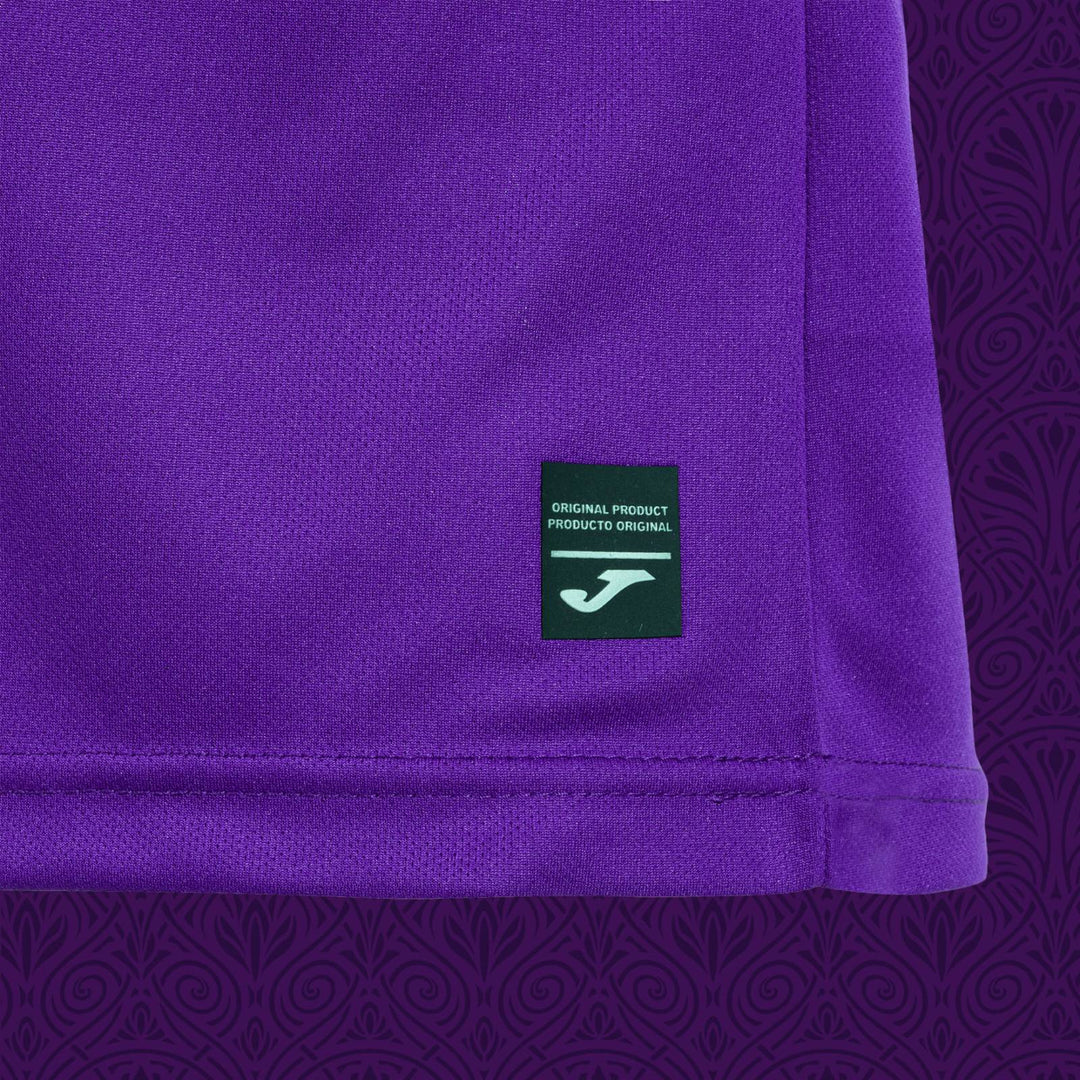 Anderlecht Home Jersey 2024/25