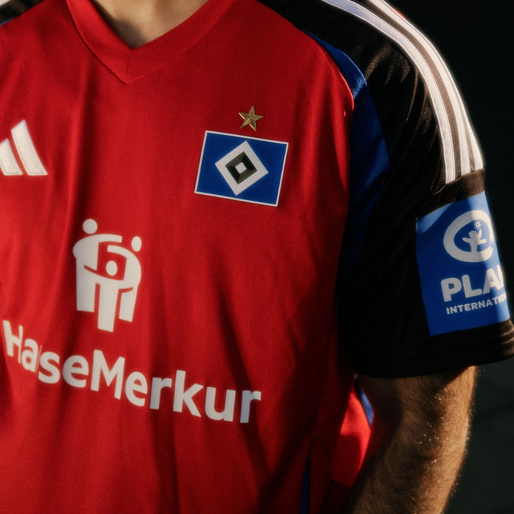 Hamburger SV Third jersey 2024/25
