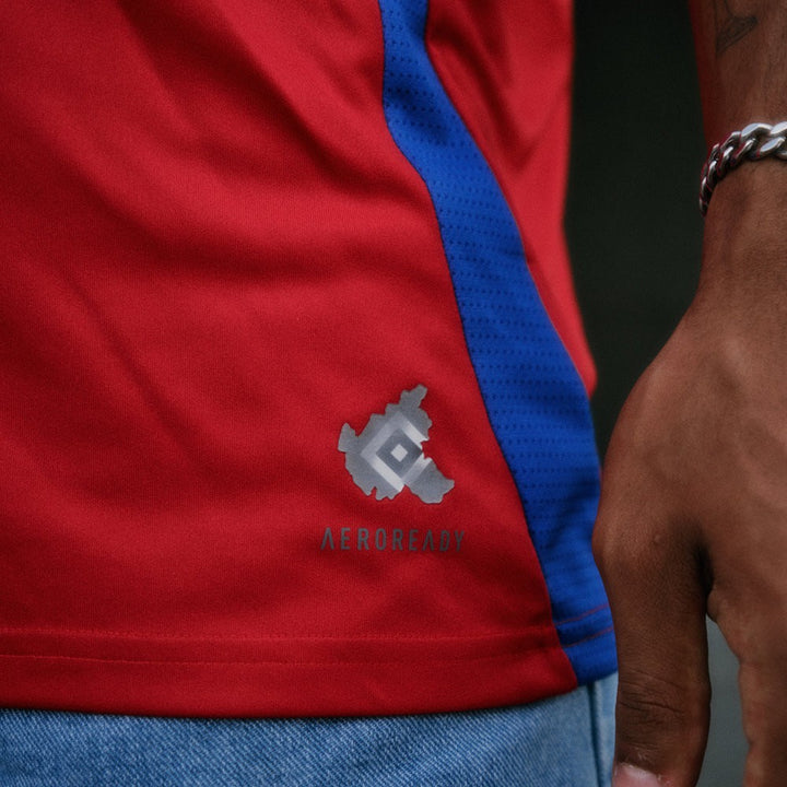 Hamburger SV Third jersey 2024/25
