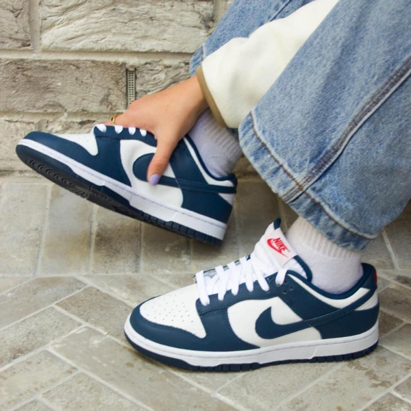 Nike Dunk Low Valerian Blue