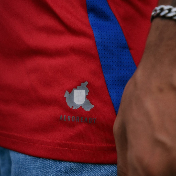 Hamburger SV Third jersey 2024/25
