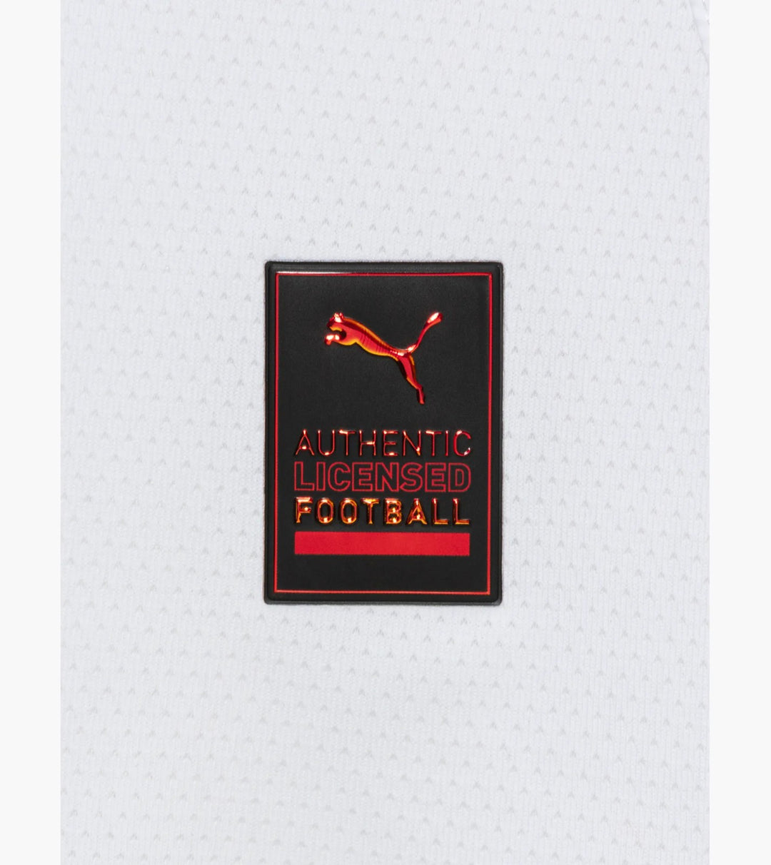 Leipzig Home Jersey 2024/25