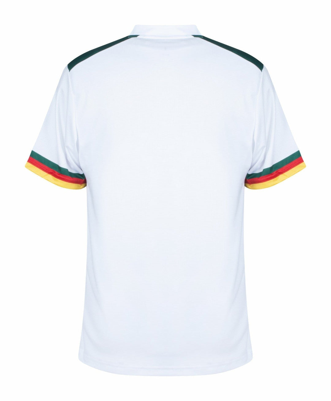 Cameroon World Cup Away kit 2022 - uaessss
