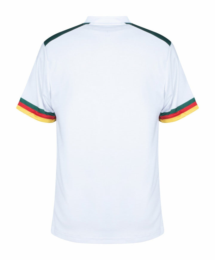 Cameroon World Cup Away kit 2022 - uaessss