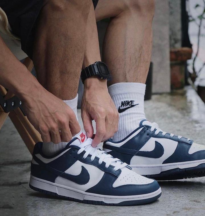 Nike Dunk Low Valerian Blue