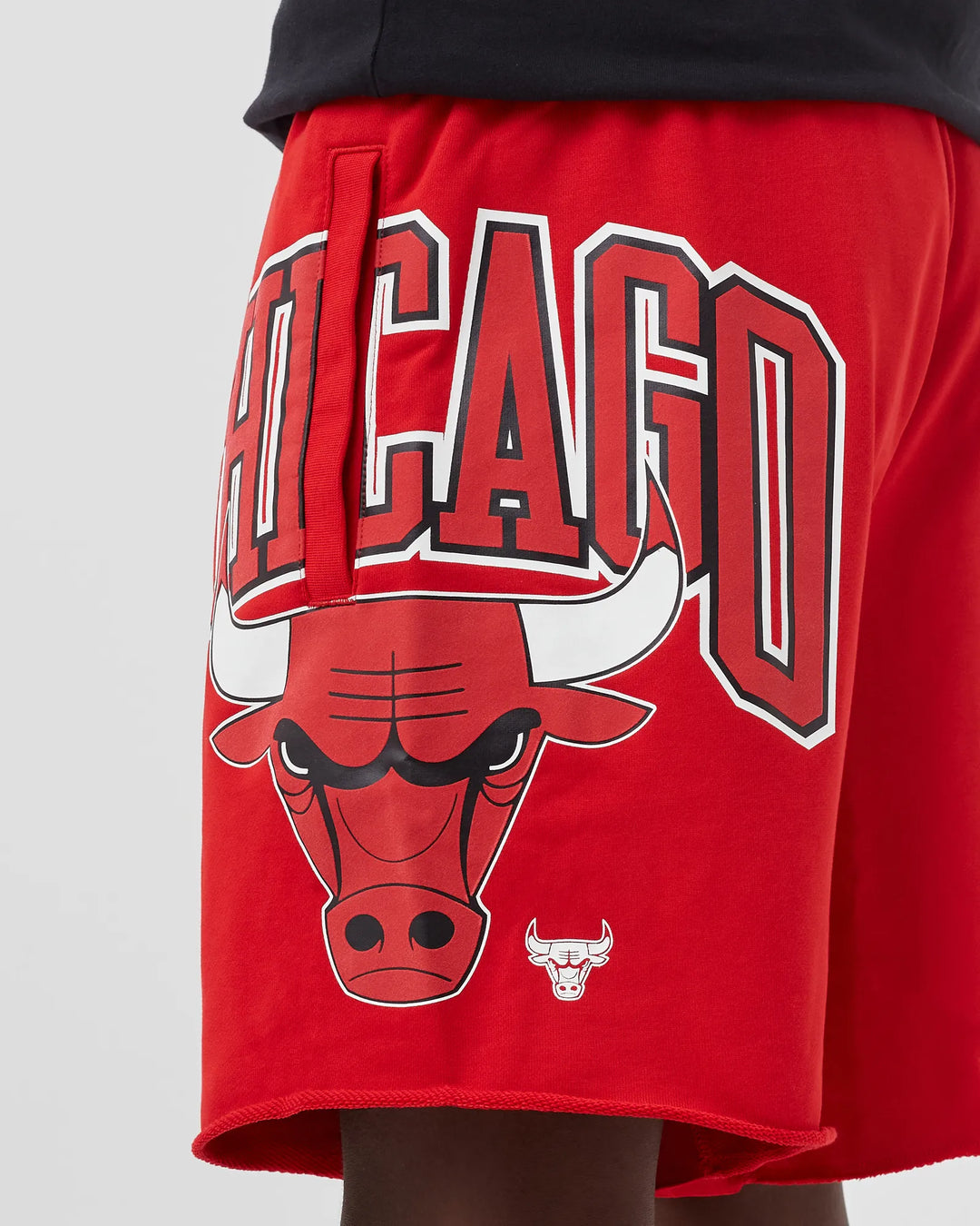 Nike CHICAGO BULLS COURTSIDE FLEECE SHORTS 3 COLOUR