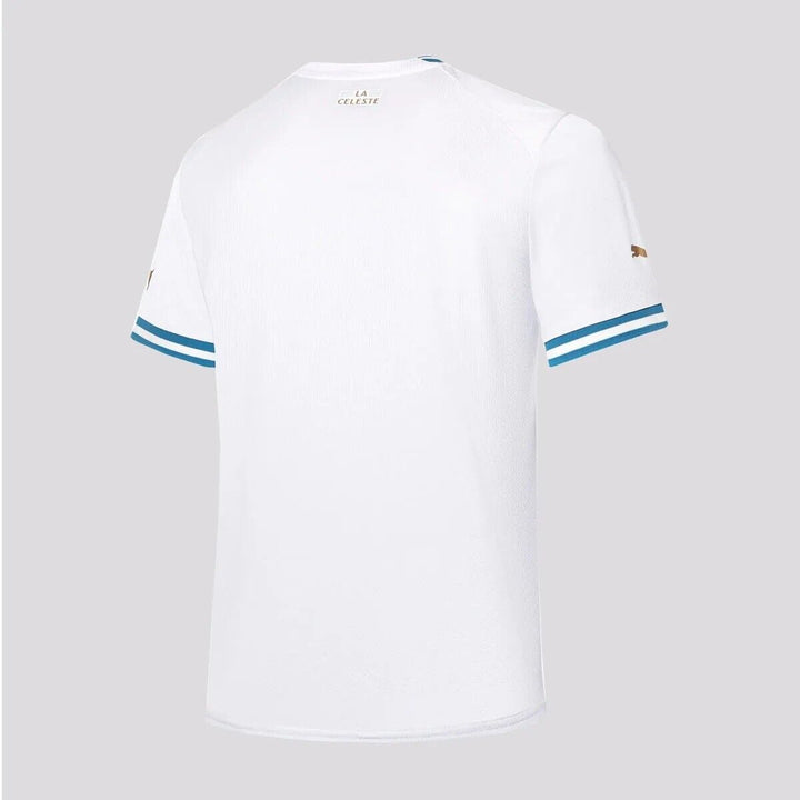 Uruguay World Cup Away Jersey 2022