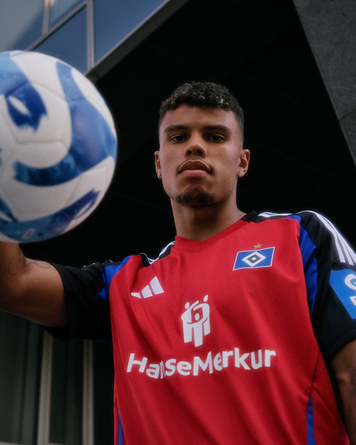 Hamburger SV Third jersey 2024/25